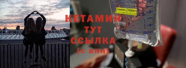 трава Медвежьегорск