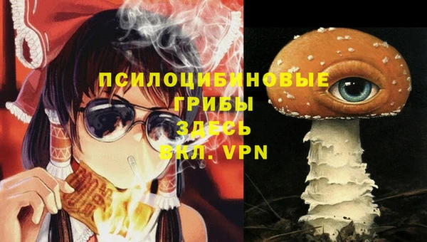 трава Медвежьегорск