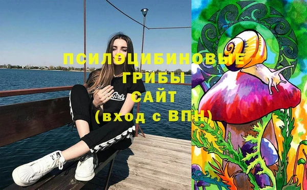 трава Медвежьегорск