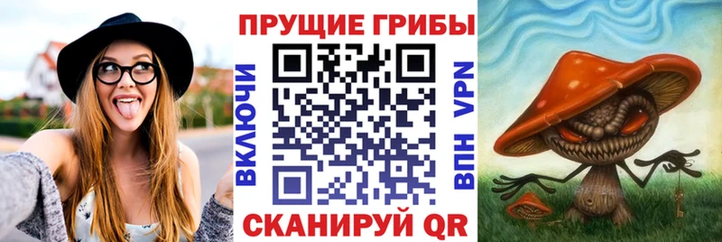 Галлюциногенные грибы Psilocybine cubensis  kraken онион  Березники 