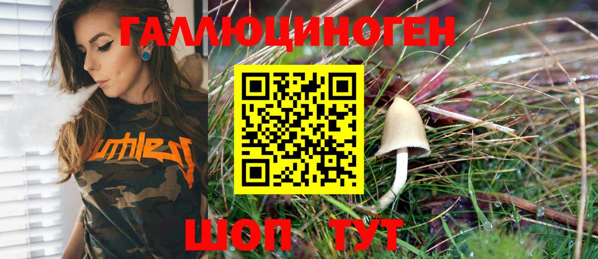 Галлюциногенные грибы MAGIC MUSHROOMS  Галлюциногенные грибы Magic Shrooms  Вход с VPN  Березники 