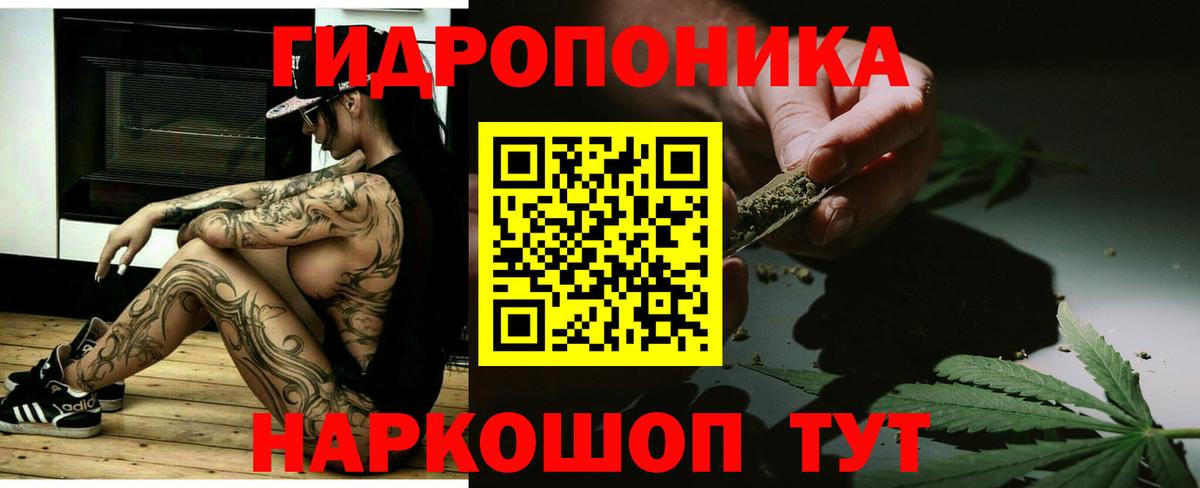 Конопля план Березники
